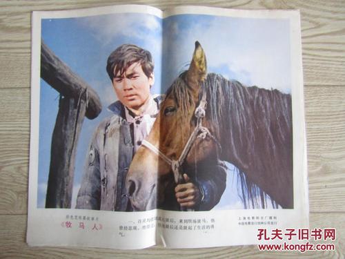 购买假南卡罗来纳州驾驶证